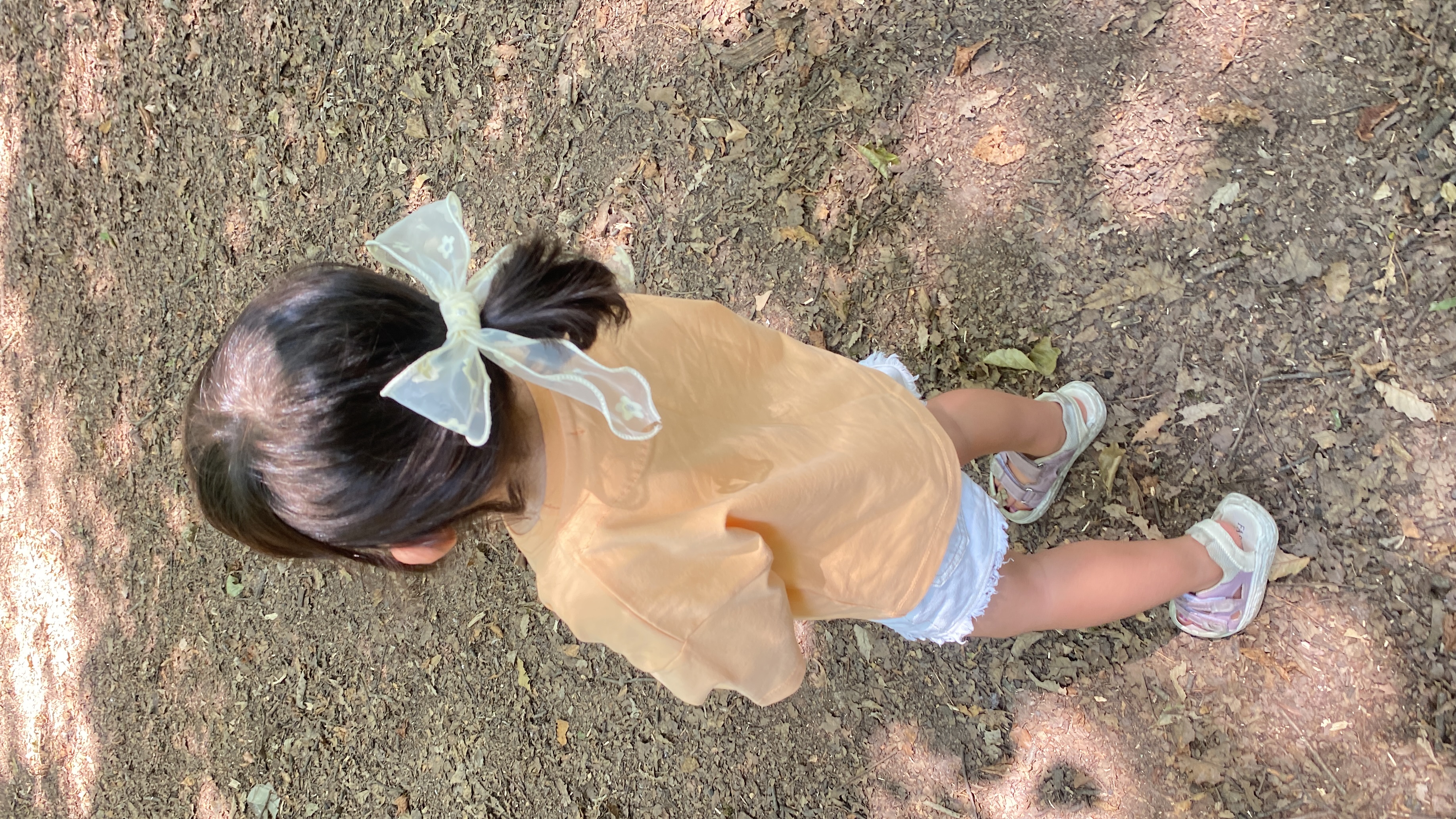 پاپیون دنباله دار حریر گلدار